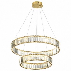 Подвесной светильник Odeon Light Vekia 5015/60L в Копейске - kopejsk.mebel24.online | фото 2