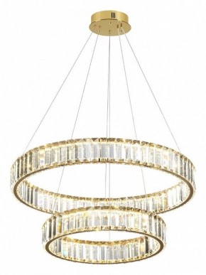 Подвесной светильник Odeon Light Vekia 5015/60L в Копейске - kopejsk.mebel24.online | фото 4