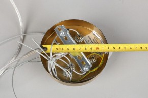 Подвесной светильник Omnilux Cesana OML-67103-08 в Копейске - kopejsk.mebel24.online | фото 9