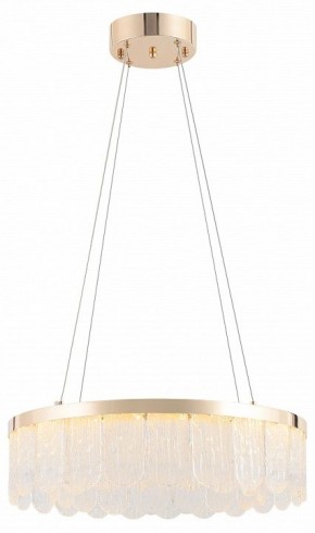 Подвесной светильник Rivoli Diane Б0061976 в Копейске - kopejsk.mebel24.online | фото 5