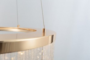 Подвесной светильник Rivoli Diane Б0061976 в Копейске - kopejsk.mebel24.online | фото 7
