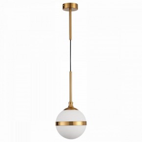 Подвесной светильник ST-Luce Arbe SL1157.303.01 в Копейске - kopejsk.mebel24.online | фото 2