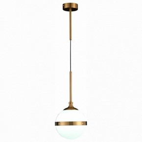 Подвесной светильник ST-Luce Arbe SL1157.303.01 в Копейске - kopejsk.mebel24.online | фото 3