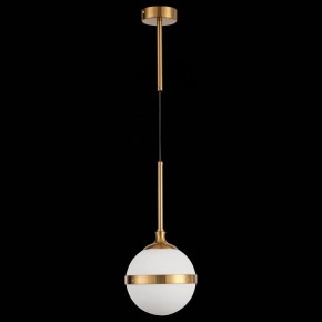 Подвесной светильник ST-Luce Arbe SL1157.303.01 в Копейске - kopejsk.mebel24.online | фото 4