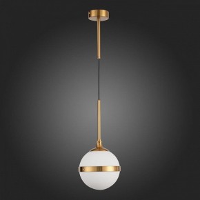 Подвесной светильник ST-Luce Arbe SL1157.303.01 в Копейске - kopejsk.mebel24.online | фото 5