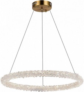 Подвесной светильник ST-Luce Avana SL6110.213.01 в Копейске - kopejsk.mebel24.online | фото 4