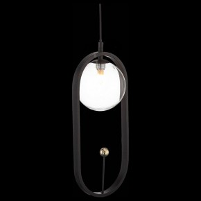 Подвесной светильник ST-Luce Circono SL1201.403.01 в Копейске - kopejsk.mebel24.online | фото 4