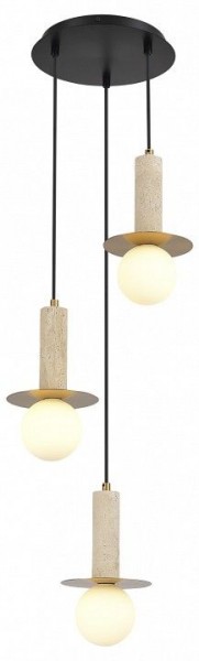 Подвесной светильник ST-Luce Earthy SL1194.303.03 в Копейске - kopejsk.mebel24.online | фото 3