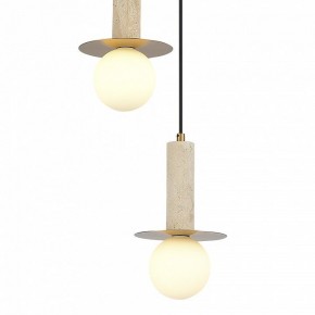 Подвесной светильник ST-Luce Earthy SL1194.303.03 в Копейске - kopejsk.mebel24.online | фото 4