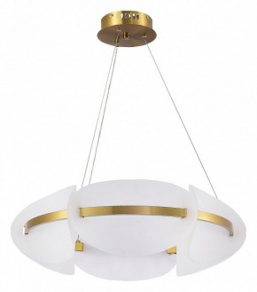 Подвесной светильник ST-Luce Etoile SL1304.203.45 в Копейске - kopejsk.mebel24.online | фото 3