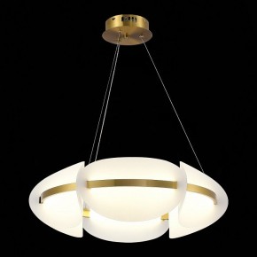 Подвесной светильник ST-Luce Etoile SL1304.203.45 в Копейске - kopejsk.mebel24.online | фото 4
