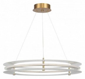 Подвесной светильник ST-Luce FAGY SL6245.203.01 в Копейске - kopejsk.mebel24.online | фото 3