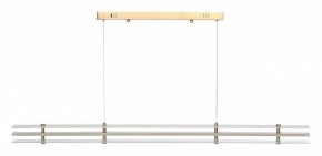 Подвесной светильник ST-Luce FAGY SL6245.223.01 в Копейске - kopejsk.mebel24.online | фото 3