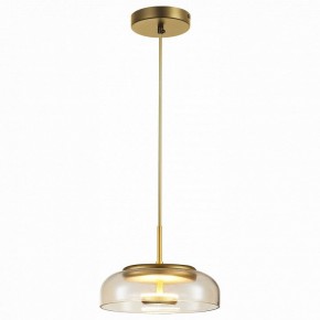 Подвесной светильник ST-Luce Lacio SL6002.203.01 в Копейске - kopejsk.mebel24.online | фото