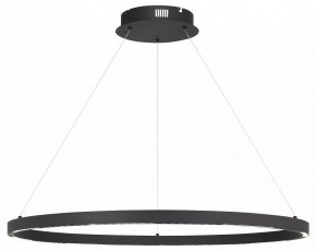 Подвесной светильник ST-Luce PARILLA SL6238.443.01 в Копейске - kopejsk.mebel24.online | фото 2