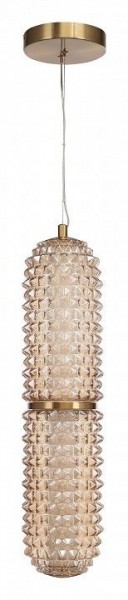 Подвесной светильник ST-Luce SAGUARO SL6144.303.01 в Копейске - kopejsk.mebel24.online | фото 3