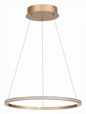 Подвесной светильник ST-Luce ST604 OUT ST604.243.22 в Копейске - kopejsk.mebel24.online | фото 2