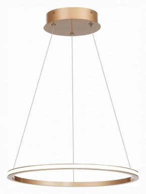 Подвесной светильник ST-Luce ST604 OUT ST604.243.22 в Копейске - kopejsk.mebel24.online | фото 3