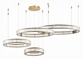 Подвесной светильник ST-Luce Tivoli SL1622.303.04 в Копейске - kopejsk.mebel24.online | фото 3