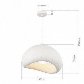 Подвесной светильник ST-Luce WABI SABI SL1522.513.01 в Копейске - kopejsk.mebel24.online | фото 5
