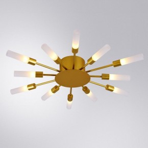 Потолочная люстра Arte Lamp Maple A1276PL-12GO в Копейске - kopejsk.mebel24.online | фото 1