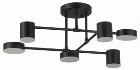 Потолочная люстра EVOLUCE Nobel SLE201042-06 в Копейске - kopejsk.mebel24.online | фото 11