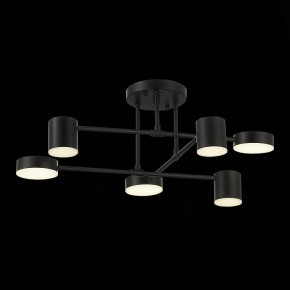 Потолочная люстра EVOLUCE Nobel SLE201042-06 в Копейске - kopejsk.mebel24.online | фото 13