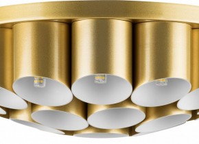 Потолочная люстра Lightstar Siena 720222 в Копейске - kopejsk.mebel24.online | фото 3