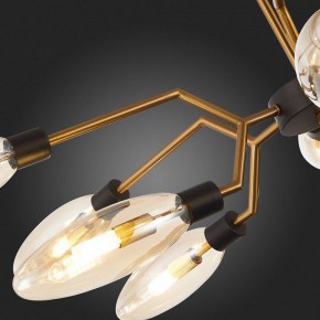 Потолочная люстра ST-Luce Desima SL1174.303.12 в Копейске - kopejsk.mebel24.online | фото 10