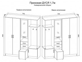 Прихожая Дуся 1.7 УНИ (Дуб Бунратти/Белый Бриллиант) в Копейске - kopejsk.mebel24.online | фото 2