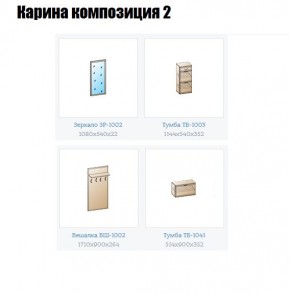 Прихожая Карина (модульная) в Копейске - kopejsk.mebel24.online | фото 6