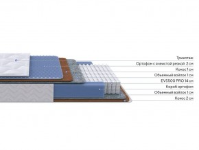 PROxSON Матрас Active Duo M/F (Ткань Трикотаж Эко) 120x200 в Копейске - kopejsk.mebel24.online | фото 1