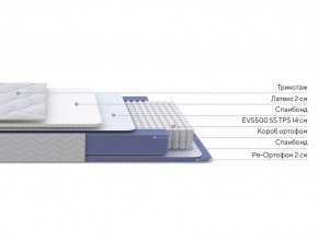 PROxSON Матрас Active Duo S/F (Ткань Трикотаж Эко) 120x195 в Копейске - kopejsk.mebel24.online | фото 2