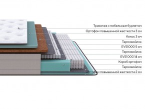 PROxSON Матрас Elysium Firm (Трикотаж Spiral-RT) 80x200 в Копейске - kopejsk.mebel24.online | фото 2