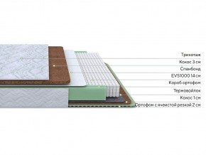 PROxSON Матрас Green Duo M/F (Tricotage Dream) 120x190 в Копейске - kopejsk.mebel24.online | фото 2