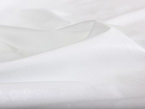 PROxSON Защитный чехол Aqua Save Light M (Ткань влагостойкая Tencel Jersey) 90x200 в Копейске - kopejsk.mebel24.online | фото 6