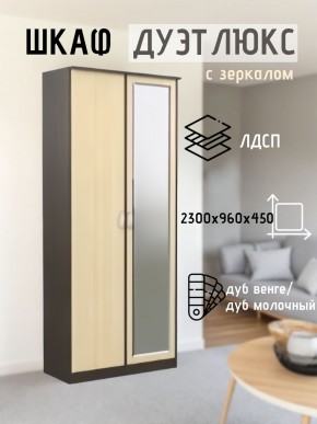 Шкаф 2-х створчатый Дуэт Люкс с зеркалом в Копейске - kopejsk.mebel24.online | фото