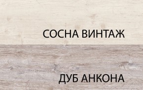 Шкаф 2DG2S, MONAKO, цвет Сосна винтаж/дуб анкона в Копейске - kopejsk.mebel24.online | фото