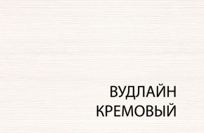 Шкаф 2DG2S, TIFFANY, цвет вудлайн кремовый в Копейске - kopejsk.mebel24.online | фото