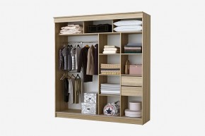 Шкаф-купе Фаворит 2.0 серия Альянс (дуб сонома) в Копейске - kopejsk.mebel24.online | фото 2