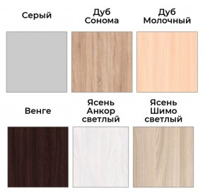 Шкаф-купе ХИТ 22-17-66 (620) в Копейске - kopejsk.mebel24.online | фото 3