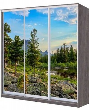 Шкаф-купе ХИТ 22-20/2-777 ПРИРОДА в Копейске - kopejsk.mebel24.online | фото