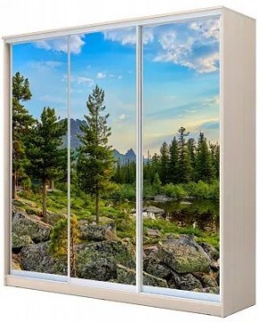 Шкаф-купе ХИТ 22-20-777 ПРИРОДА в Копейске - kopejsk.mebel24.online | фото