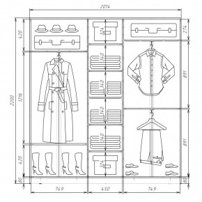 Шкаф-купе ХИТ 22-4-20-222 (420) в Копейске - kopejsk.mebel24.online | фото 2
