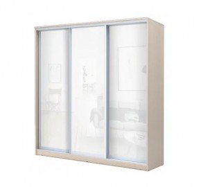 Шкаф-купе ХИТ 22-4-20-888 (420) в Копейске - kopejsk.mebel24.online | фото 4