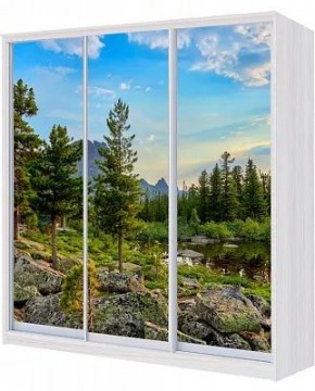 Шкаф-купе ХИТ 24-18/2-777 ПРИРОДА в Копейске - kopejsk.mebel24.online | фото
