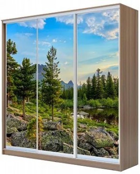 Шкаф-купе ХИТ 24-20/2-777 ПРИРОДА в Копейске - kopejsk.mebel24.online | фото