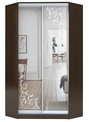 Шкаф-купе ХИТ-У-22-4-66 ОРНАМЕНТ в Копейске - kopejsk.mebel24.online | фото