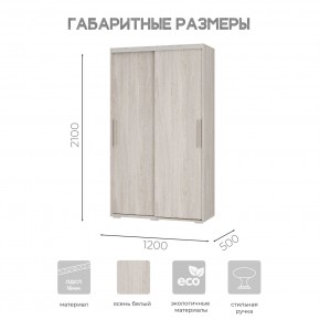 Шкаф-купе ШКК-11 (ясень белый) в Копейске - kopejsk.mebel24.online | фото 7