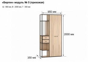 Шкаф платяной Берген-5 в Копейске - kopejsk.mebel24.online | фото 7